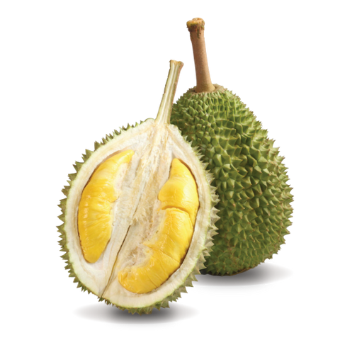 Musang King Durian (猫山王)