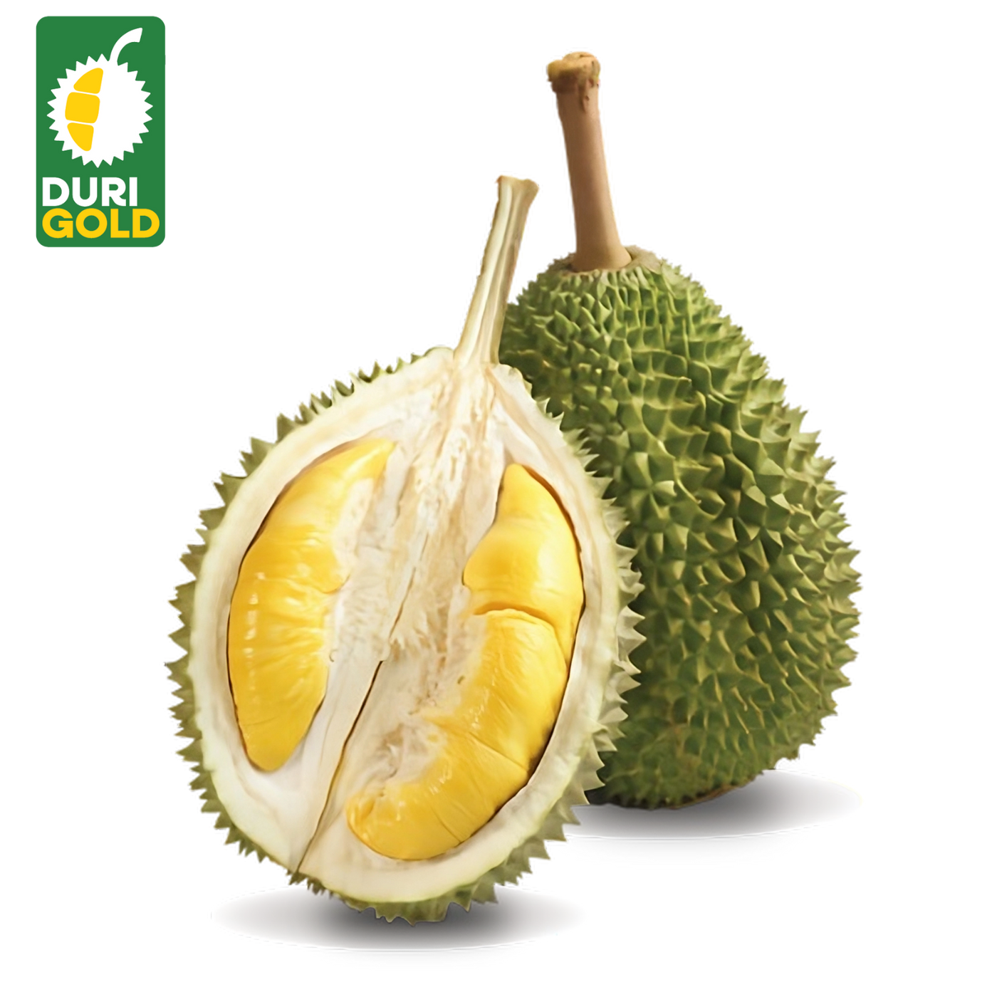 Premium Musang King Durian (Whole Fruit 4-5lbs)