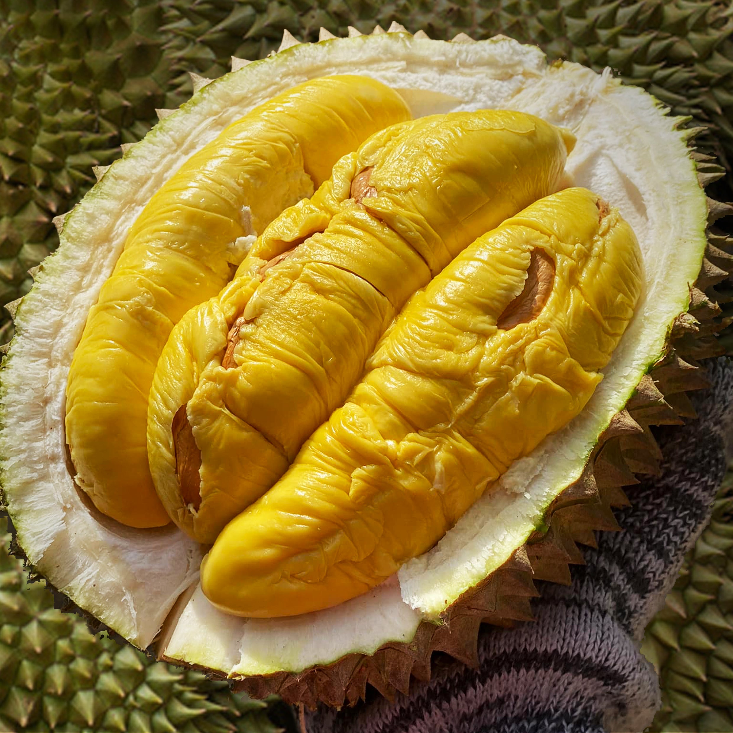 Premium Ri6 Durian (Whole Box of 26.4lbs ) 4-5 Fruits