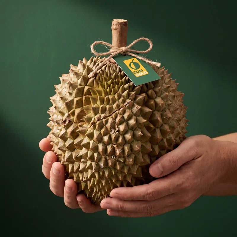 Whole durian held in two hands