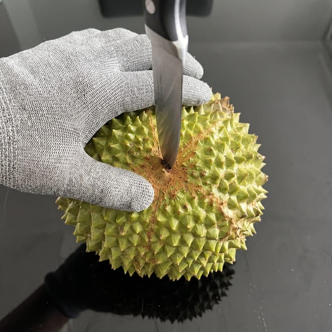 A gloved hand steadying the durian while a knife tip rests on the star at its base