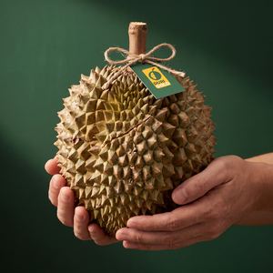 Whole durian held in two hands